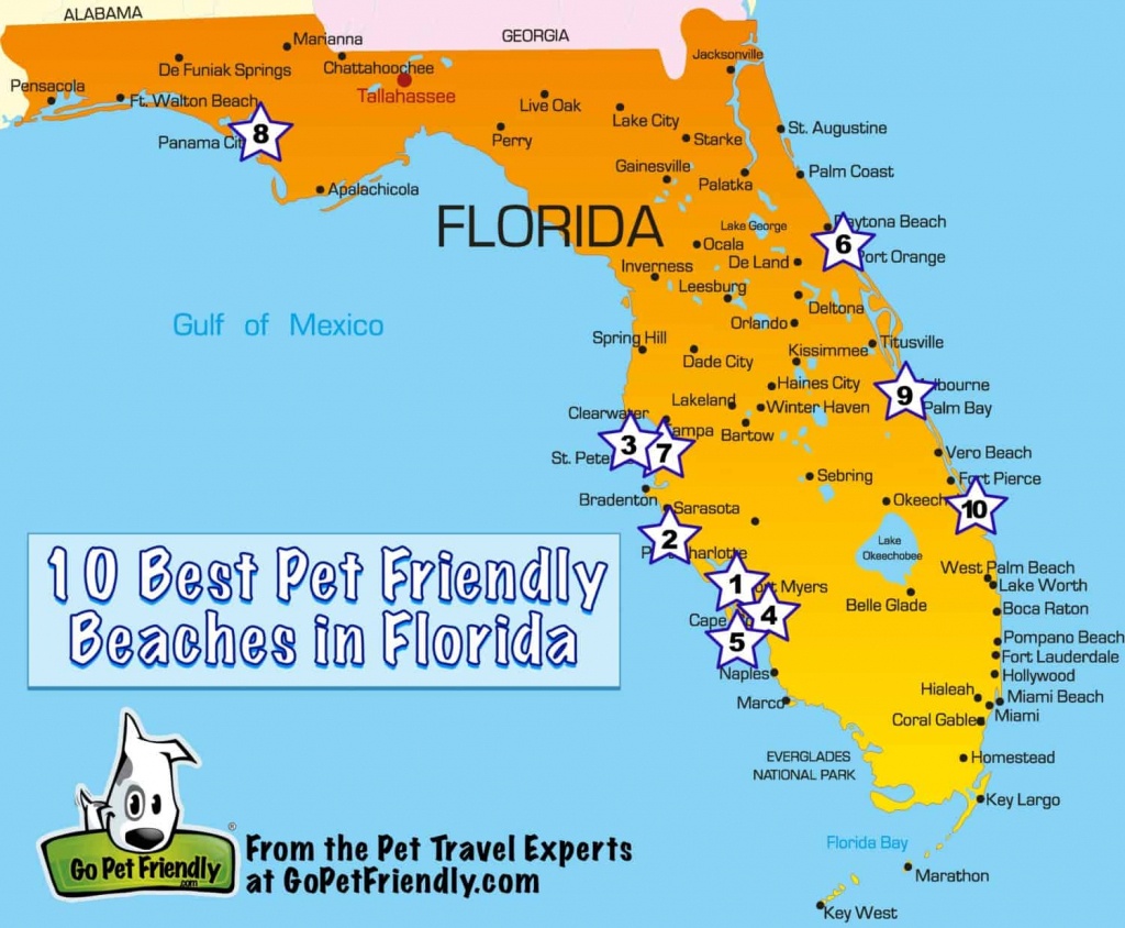 10 Of The Best Pet Friendly Beaches In Florida | Gopetfriendly - Florida Destinations Map