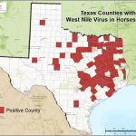 2016 Texas West Nile Virus Maps   Zika Virus Texas Map