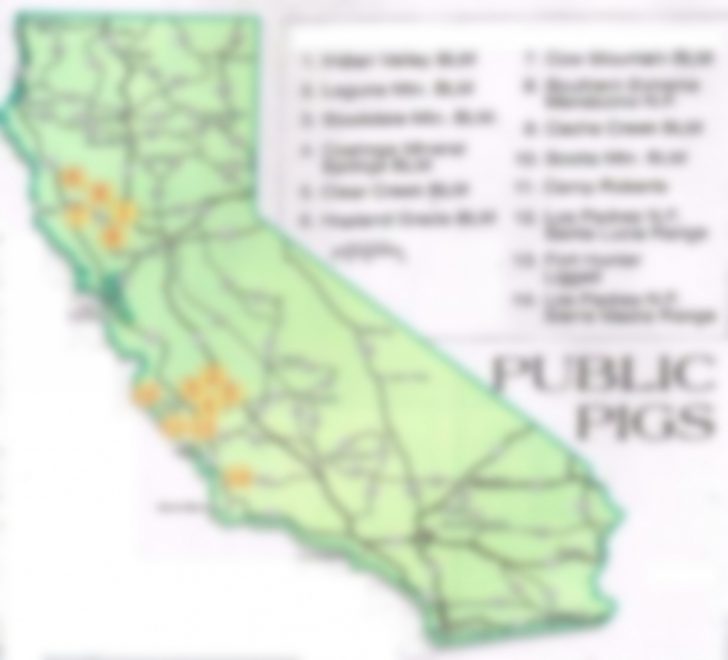 Wild Hogs California Map