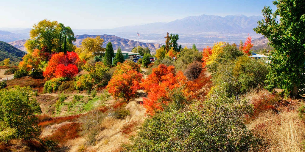 Best Places For California Autumn Leaves | Visit California - California Fall Color Map