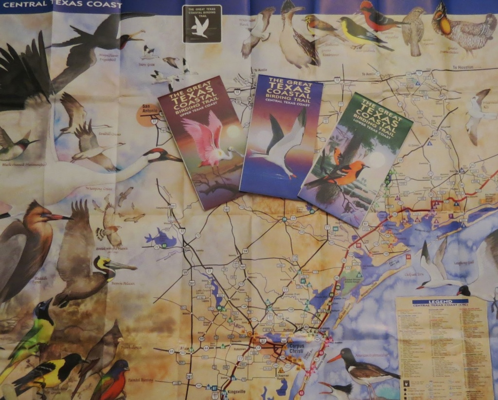 Birding Across Texas: Roadside Birding Along The Great Texas Coastal - Texas Birding Trail Maps