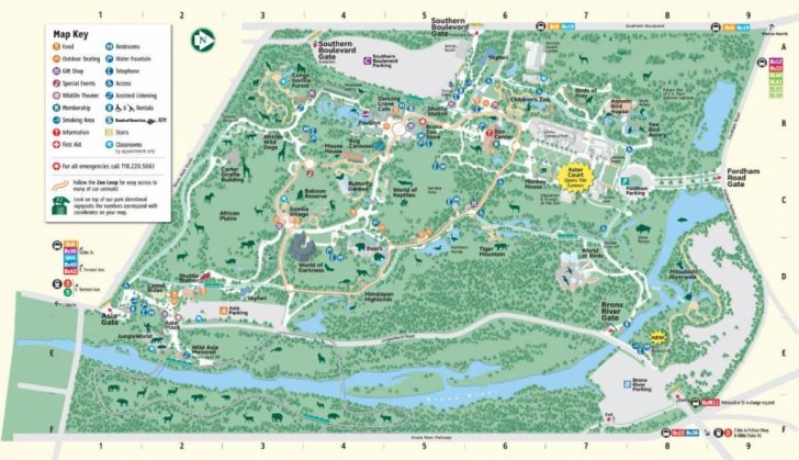 Bronx Zoo Map Printable