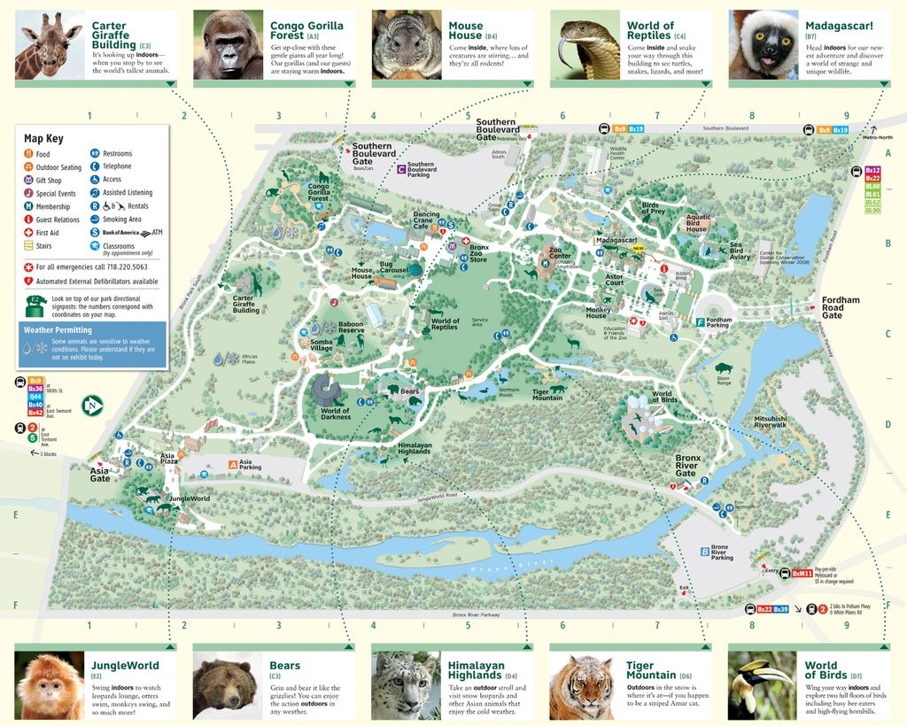 Bronx Zoo - Maplets - Bronx Zoo Map Printable