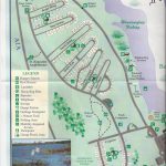 Campground Map   Anastasia State Park   St. Augustine   Florida   Florida Camping Map
