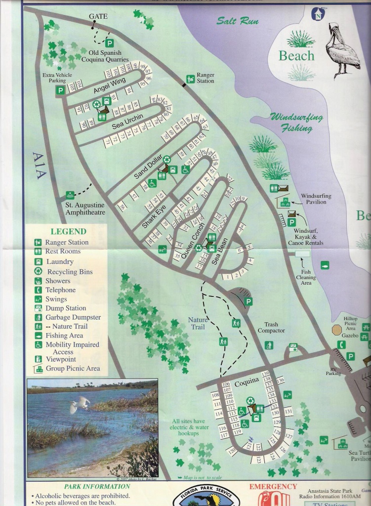 Campground Map - Anastasia State Park - St. Augustine - Florida - Florida State Rv Parks Map