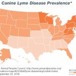 Canine Lyme Disease | Merck Animal Health   Parvo Outbreak Map 2017 California