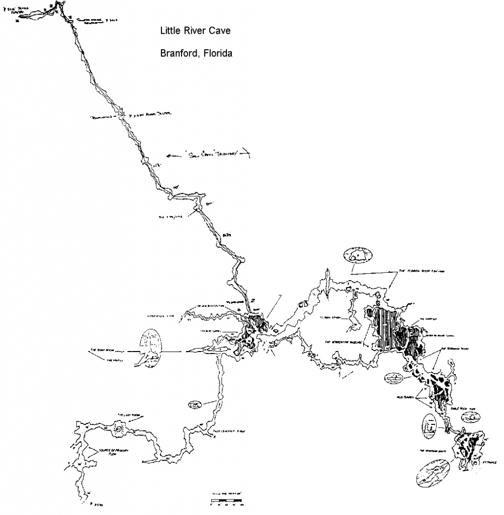 Caveatlas » Cave Diving » United States » Little River - Florida Cave Diving Map