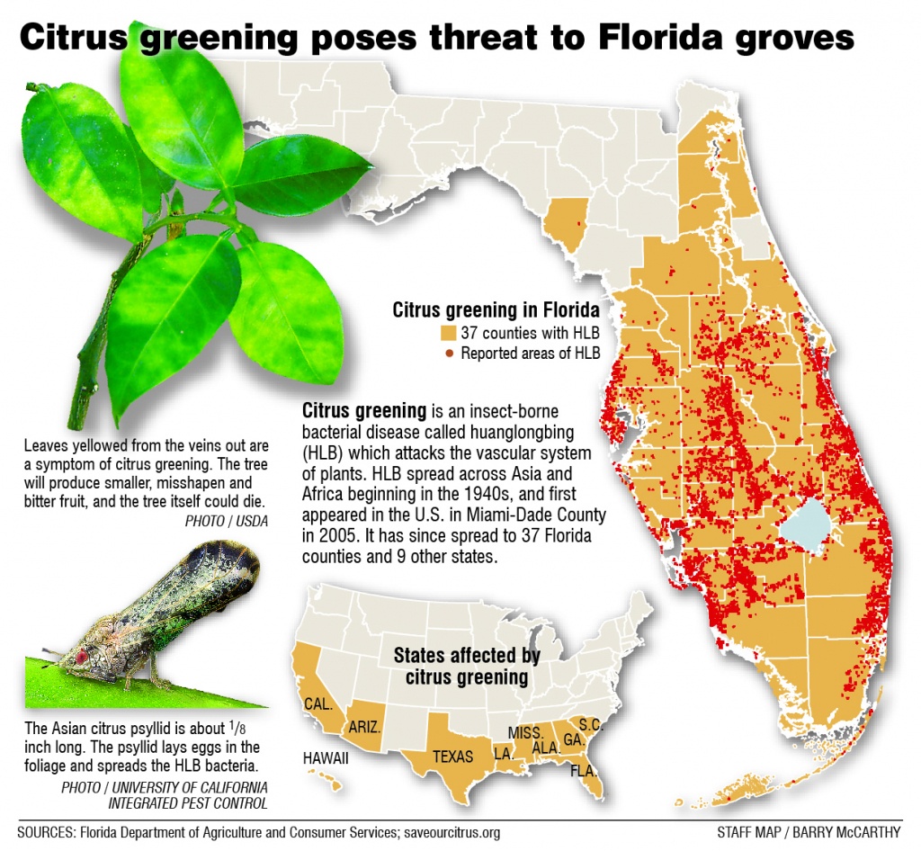 Citrus Greening: Florida&amp;#039;s Bittersweet Harvest - Extra - Florida Citrus Greening Map
