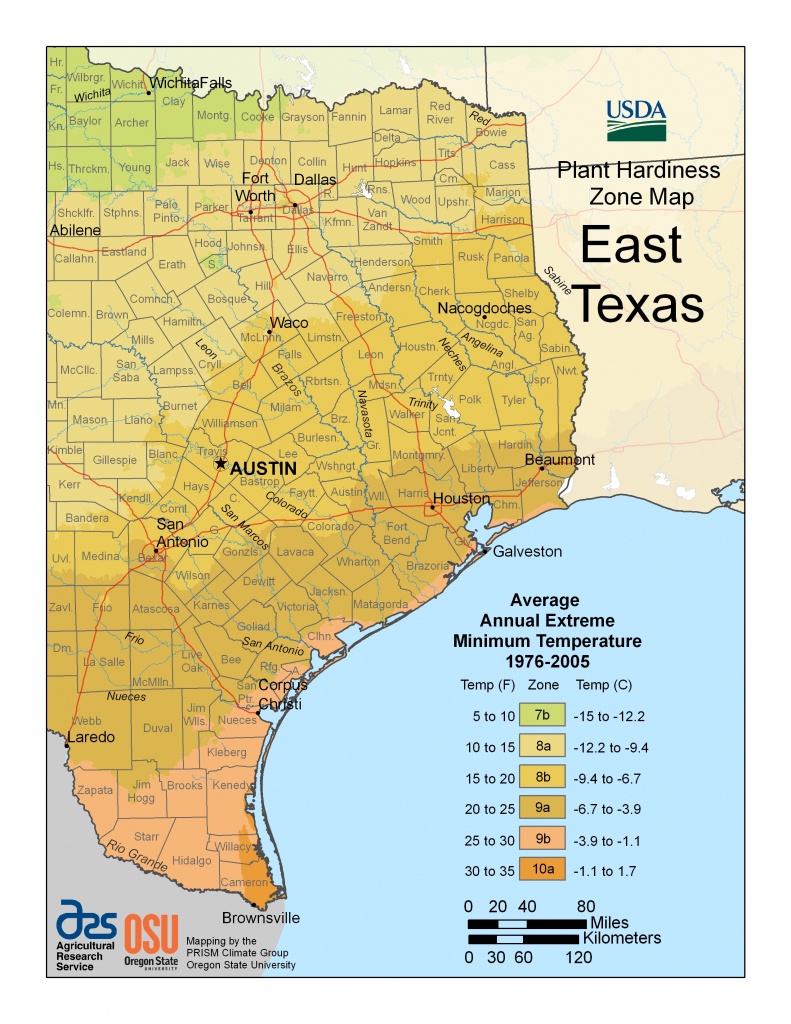 Cold Hardiness Zone Map | - Texas Planting Zones Map