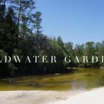 Coldwater Gardens | Florida Hikes!   Coldwater Creek Florida Map