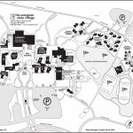 Driving Directions And Map | The Evergreen State College   Printable Driving Directions Map