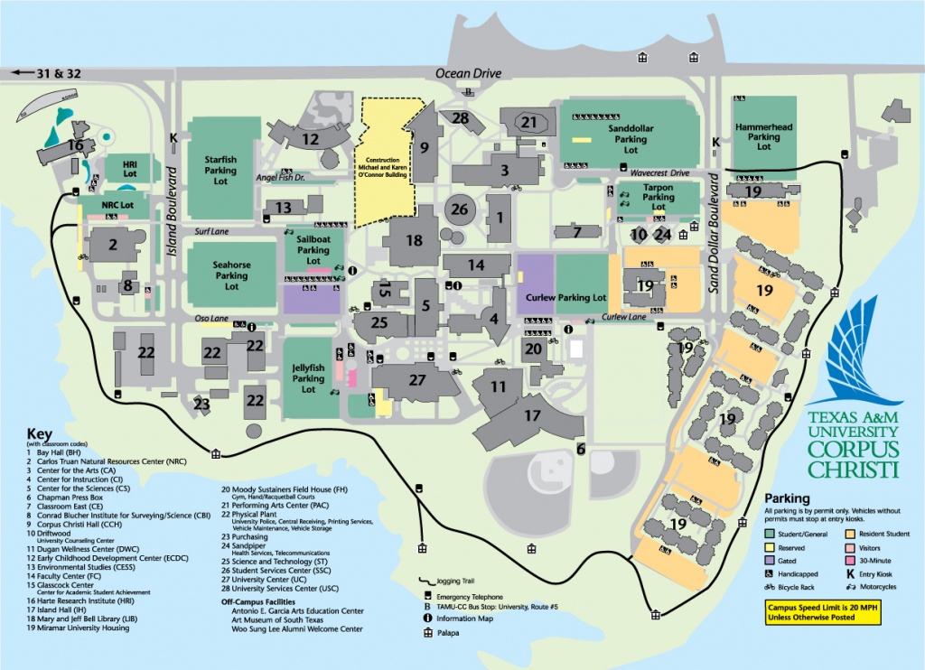 Faculty, Regents, And Administration - Texas A&amp;amp;m University Corpus - Texas State University Housing Map