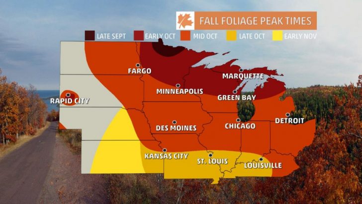 California Fall Color Map