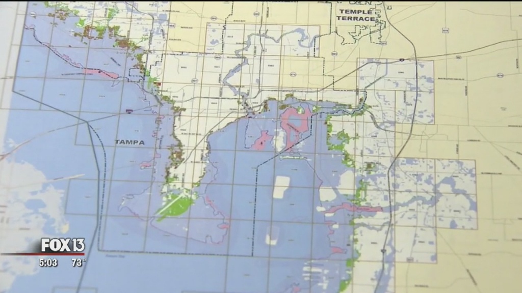 Fema Proposes New Flood Maps For Hillsborough, Pinellas Counties - Fema Flood Zone Map Florida