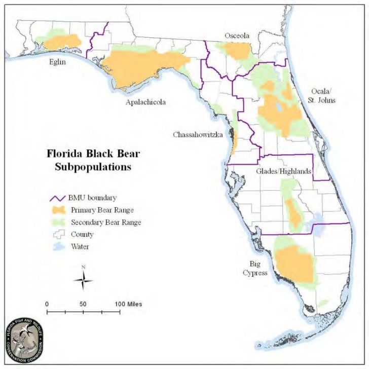 Bears In Florida Map
