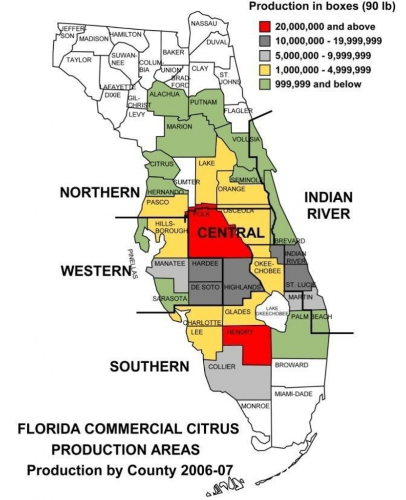 Florida Citrus Producing Regions And Counties, 2006–2007 Source - Where Are Oranges Grown In Florida Map
