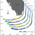 Florida – Disturbance Response | Reef Resilience   Coral Reefs In Florida Map