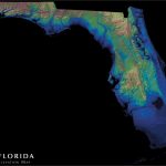 Florida Elevation Map : Florida   Florida Land Elevation Map