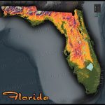 Florida Topography Map | Colorful Natural Physical Landscape   Florida Elevation Above Sea Level Map