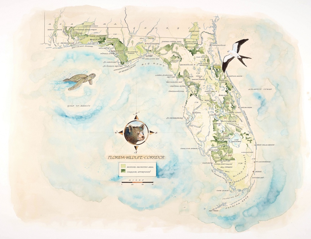 Florida Wildlife Corridor Expedition Watercolor Map Print - Where Is Watercolor Florida On A Map