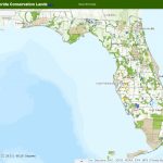 Fnai   Florida Land Use Map