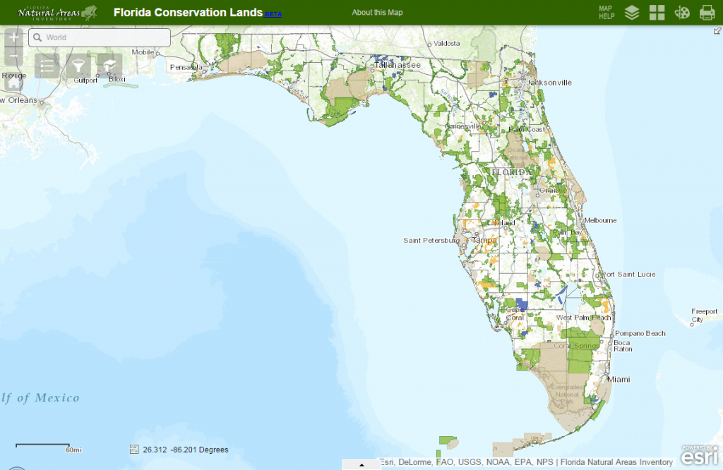 Fnai - Google Map Of Central Florida
