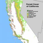 Forest Cover Map Of California [871 × 1232] : Mapporn   Where Is The Redwood Forest In California On A Map