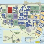 Foster Care Resources Texas A&m University Corpus Christi   Texas A&amp;m Housing Map