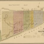 Galveston Texas Landowner   Labatt 1869   30 X 23   Map Of Galveston Texas