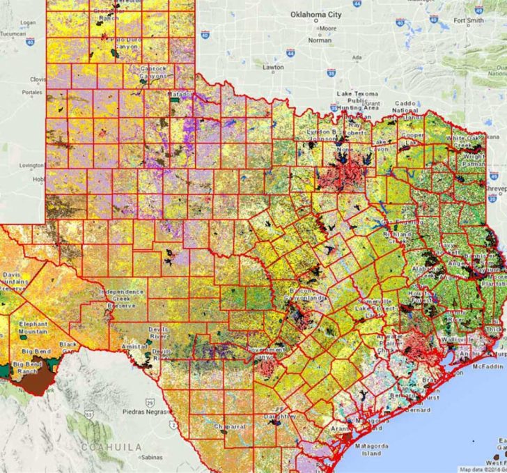 Texas Land Ownership Map