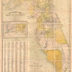 Granville's Railroad And Township Map Of Florida.: Geographicus Rare   Antique Florida Maps For Sale