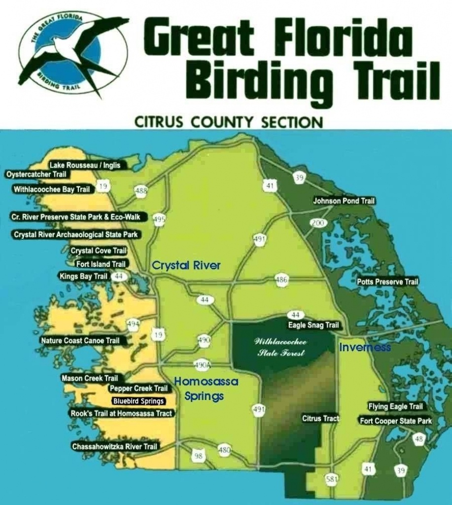 Great Florida Birding Trail - Citrus County Section | Birding In - Great Florida Birding Trail Map