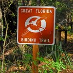 Great Florida Birding Trail Sign Stock Photos & Great Florida   Great Florida Birding Trail Map