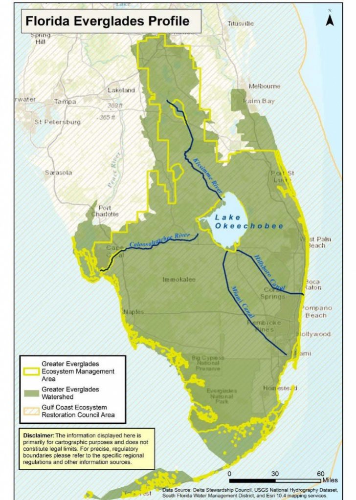 Florida Snake Problem Map