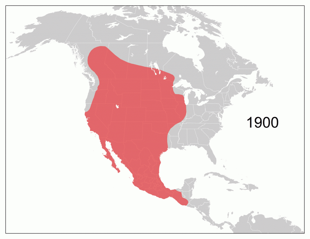 How Coyotes Conquered The Continent - Wolves In California Map