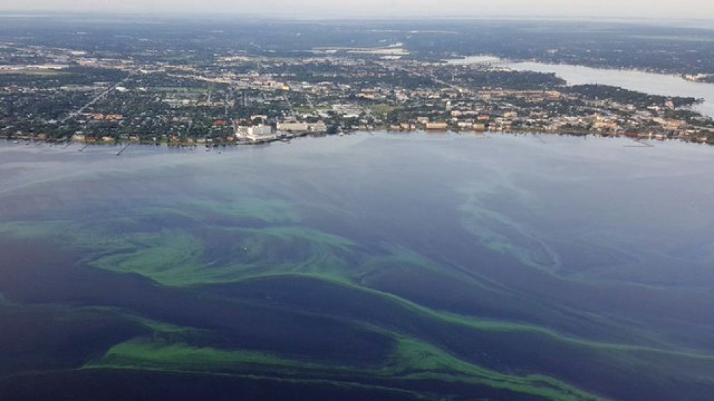 Interactive Map Shows Locations, Types And Toxicity Levels Of Algal - Toxic Algae In Florida Map