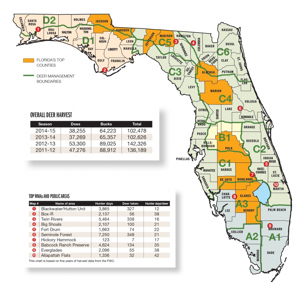Land Of Lakes Florida Map – Name - Land O Lakes Florida Map