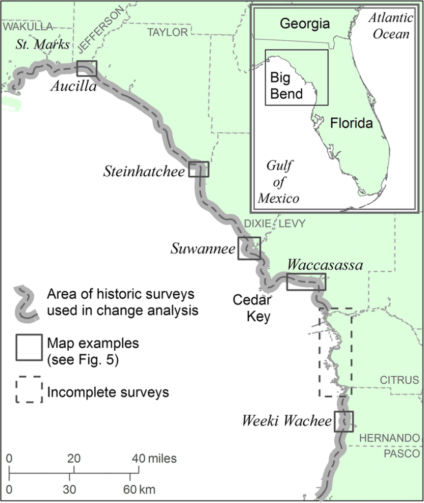 Location Map Of Florida Big Bend Marsh Coast On The Gulf Of Mexico - Mexico Florida Map