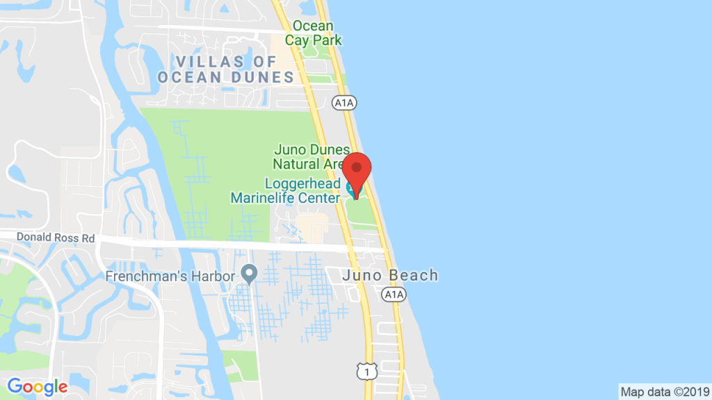 Loggerhead Marinelife Center - Shows, Tickets, Map, Directions - Juno Beach Florida Map