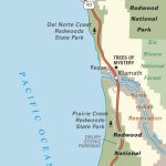Map Of Pacific Coast Through Redwood National Park. | Pacific Coast   Redwood Forest California Map