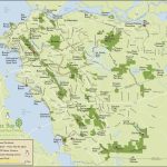 Map Of Redwood Forests In California United States Map Forest   Redwood Forest California Map