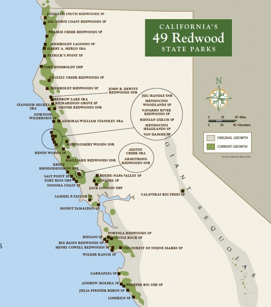 Map Reference. Redwoods In California Map – Reference California Map - Redwood Forest California Map