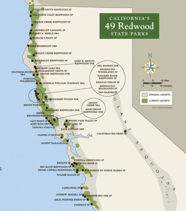 Where Is The Redwood Forest In California On A Map