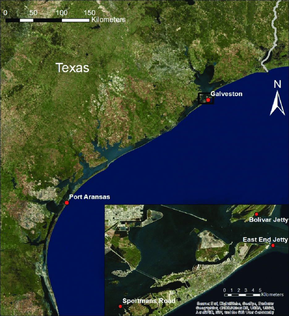 Map Showing The Texas Coast With Port Aransas And Galveston Marked - Map Of Port Aransas Texas Area