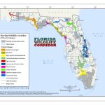 Maps   Florida Public Hunting Land Maps