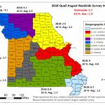 Mdc Predicts Quail Season To Be Good In Parts Of State | Missouri   Texas Public Hunting Map Booklet