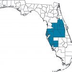 Mfrmls Websites: Digital Marketing Options For My Florida Regional   Mls Listings Florida Map