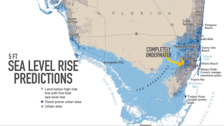 Florida Global Warming Flood Map