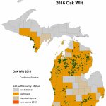 Michigan Dnr Offers Tips To Prevent Spread Of Oak Wilt   Oak Wilt Texas Map