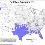 Missouri Wild Hog Crisis   North American Wildlife And Habitat   Florida Wild Hog Population Map